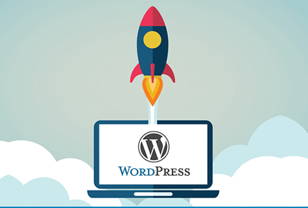Website Performance & Site Speed Optimization