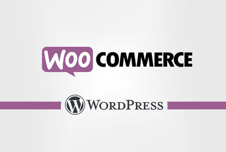 WordPress WooCommerce eCommerce Website Development